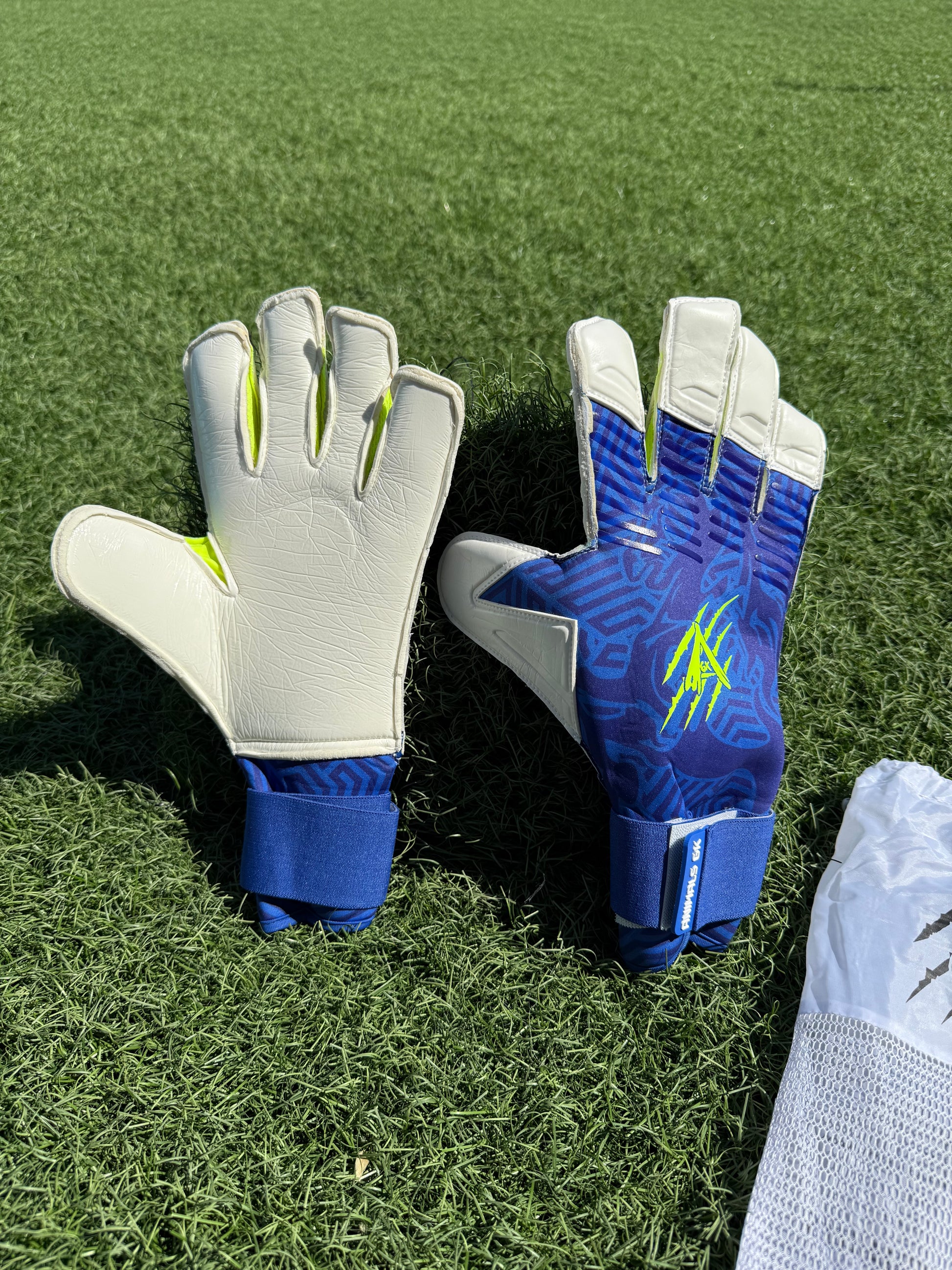 a HISPANO 2.0 EVOLUTION 🐎🧤⚽️