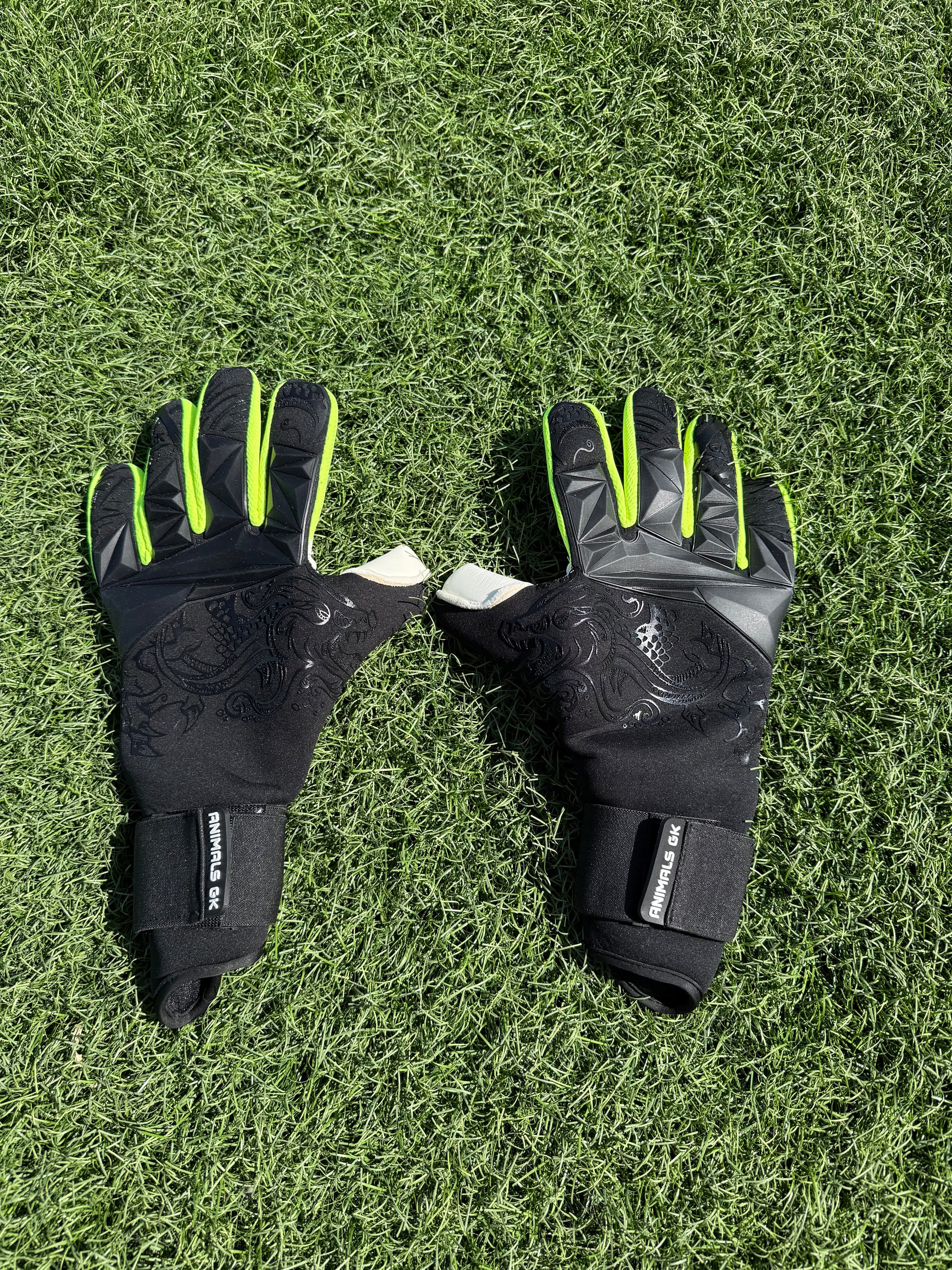 a BLACK DRAGON 🐉🧤⚽️