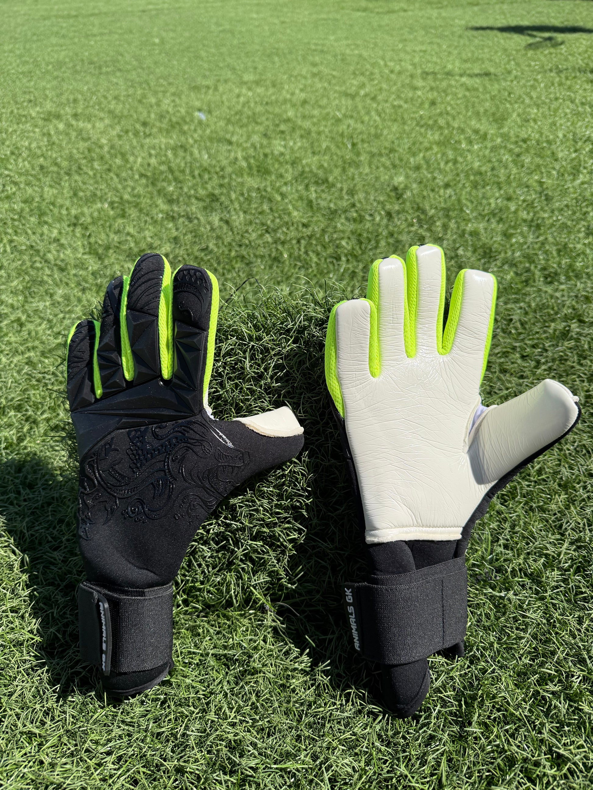 a BLACK DRAGON 🐉🧤⚽️