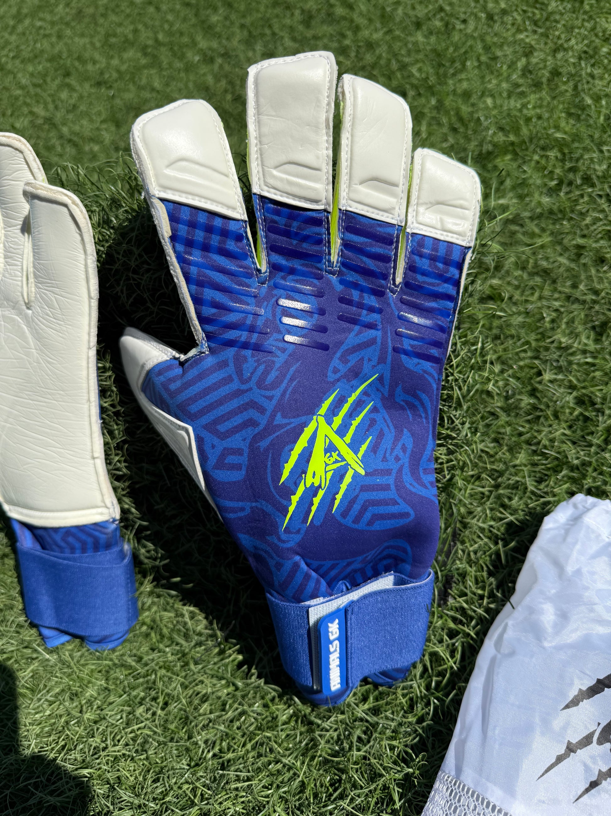 a HISPANO 2.0 EVOLUTION 🐎🧤⚽️