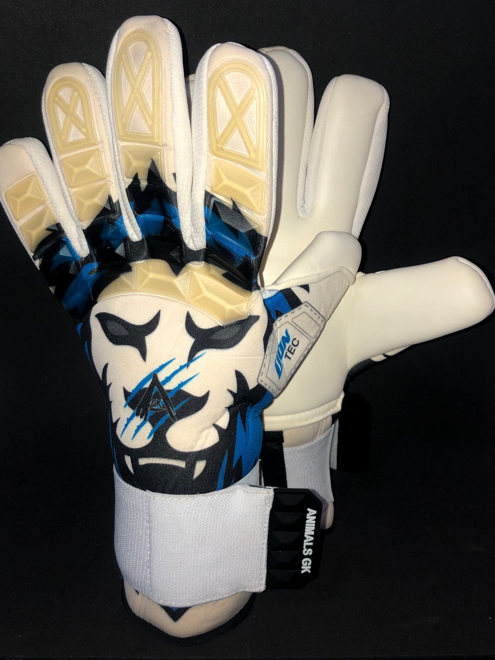 ICE LION ❄🦁🧤⚽