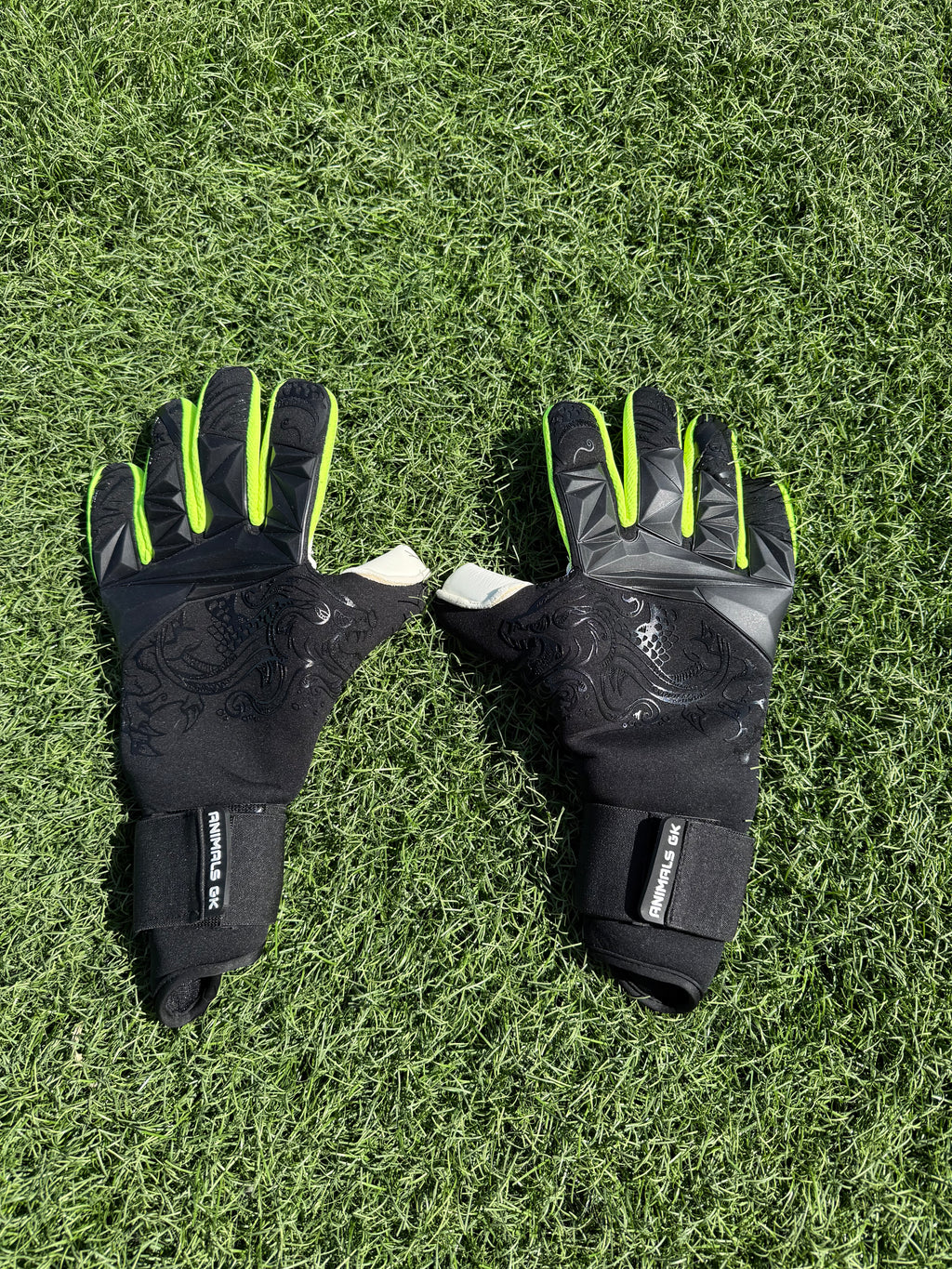 a BLACK DRAGON 🐉🧤⚽️